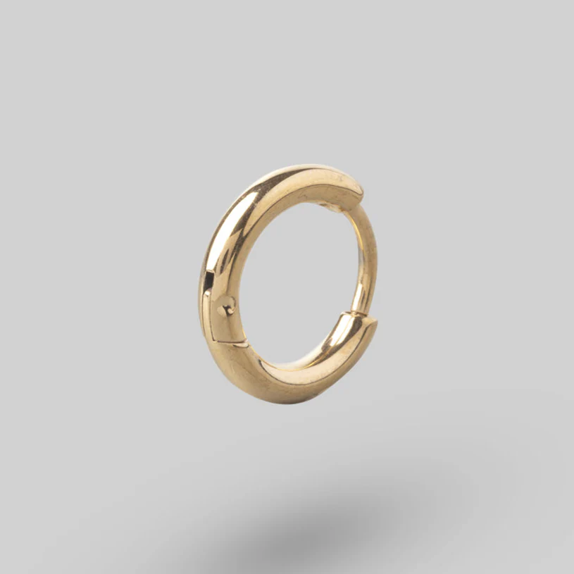 Titanium Classic Hoop (Pair) - Titanium in Gold