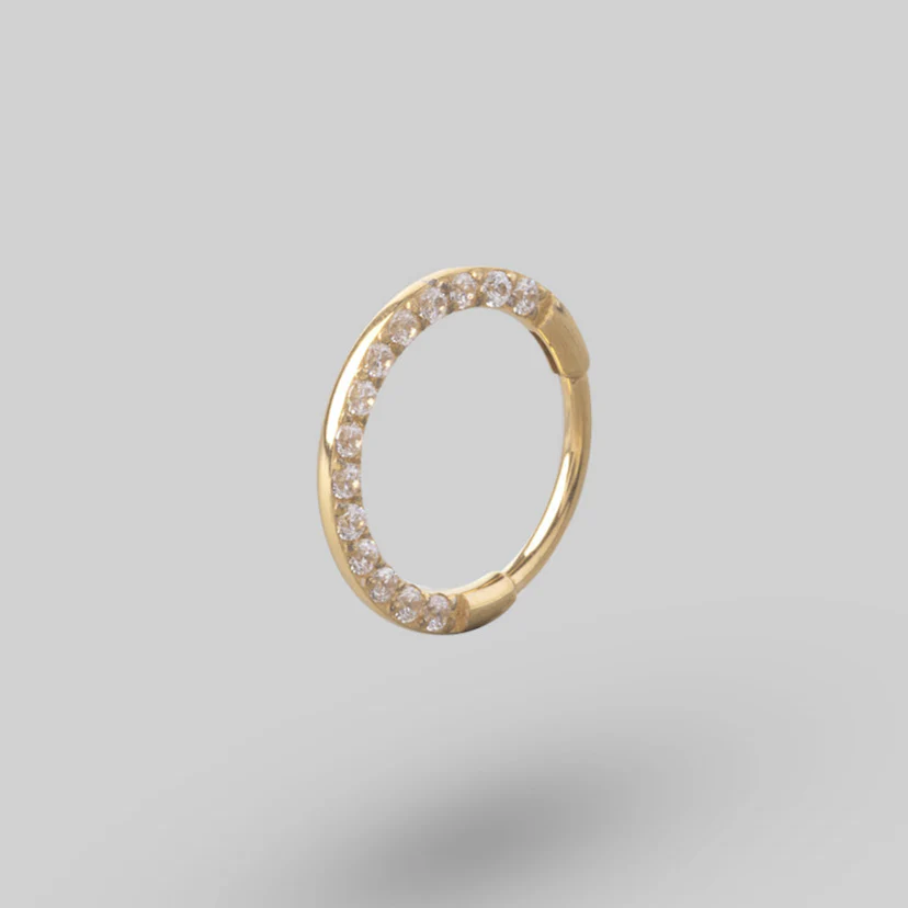 Clicker Pin Segment Ring Front Face Clear CZ in Gold - Titanium