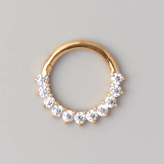 Hinged Segment Hoop Ring Prong Set CZ in Gold - Titanium