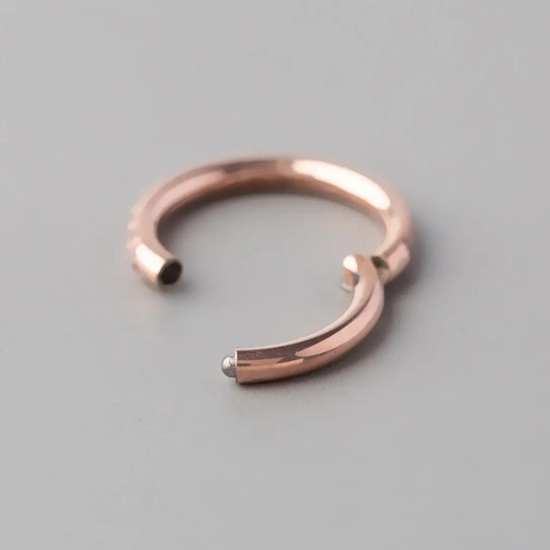 Hinged Segment Ring Clear CZ Side Face in Rose Gold - Titanium - Image 2