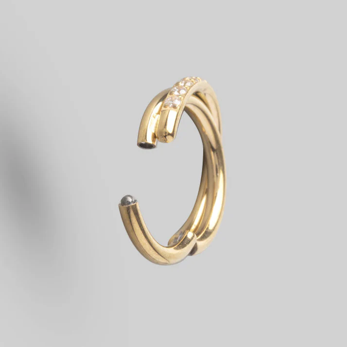 Hinged Segment Ring CZ Pave Side Twist in Gold - Titanium - Image 2