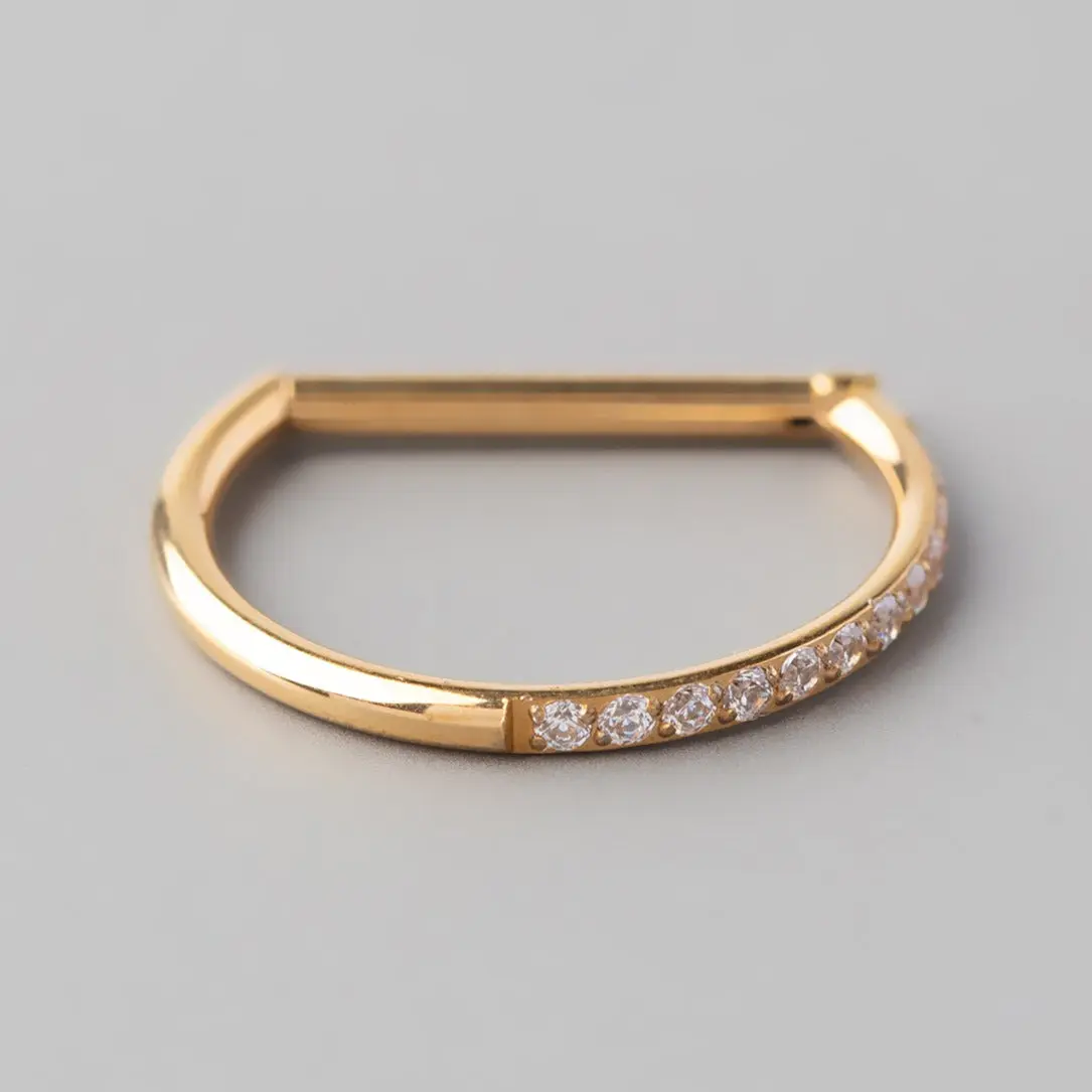 Hinged Segment Ring D Shape Half Side CZ Paved in Gold - Titanium