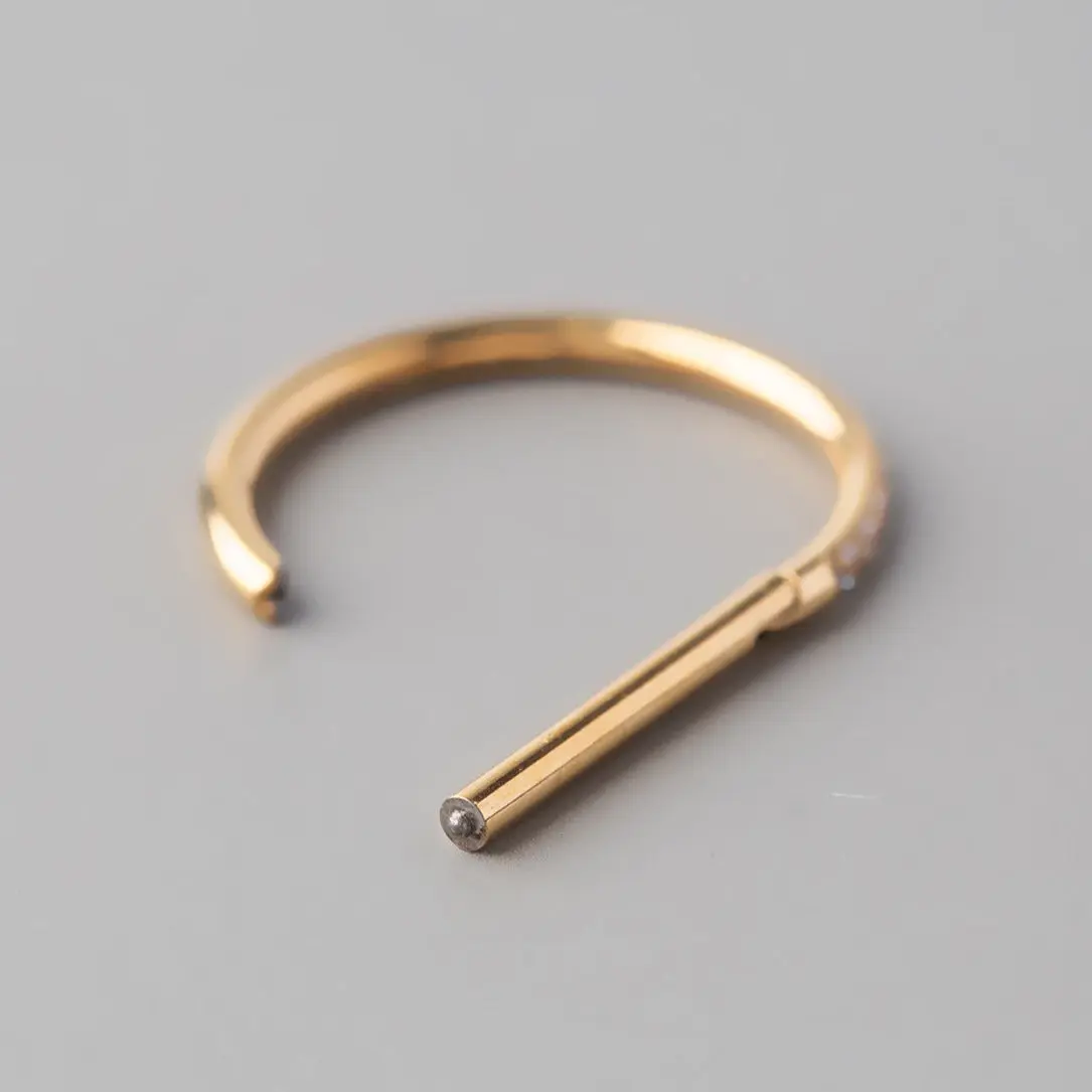 Hinged Segment Ring D Shape Half Side CZ Paved in Gold - Titanium - Image 2