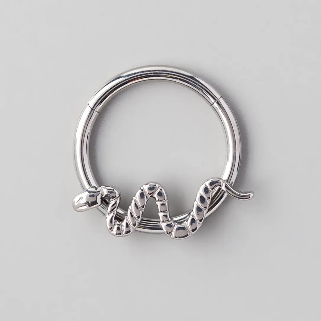Hinged Segment Ring Snake in Silver - Titanium